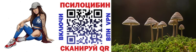 Псилоцибиновые грибы прущие грибы Шлиссельбург