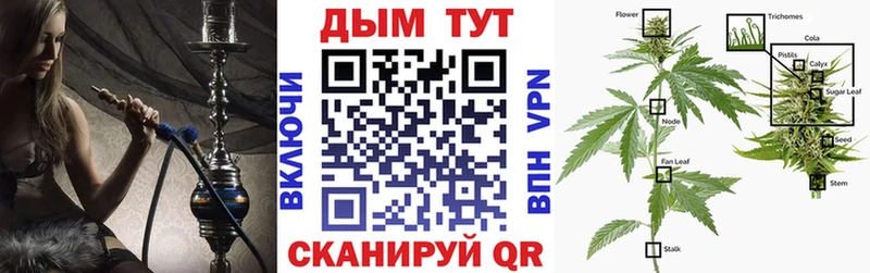 МАРИХУАНА SATIVA & INDICA  где купить наркоту  гидра вход  Шлиссельбург 